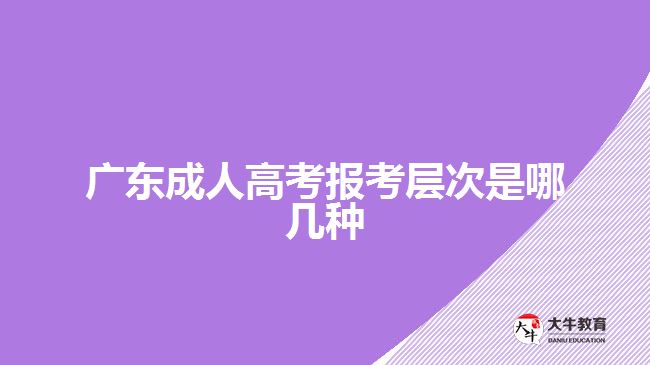 广东成人高考报考层次是哪几种