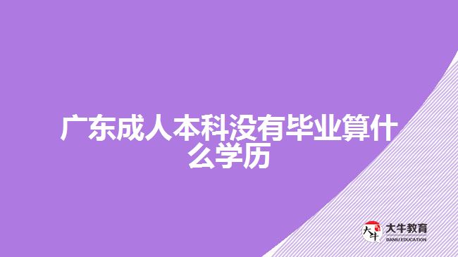 广东成人本科没有毕业算什么学历