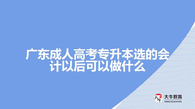 广东成人高考专升本选的会计以后可以做什么