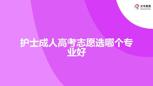 护士成人高考志愿选哪个专业好