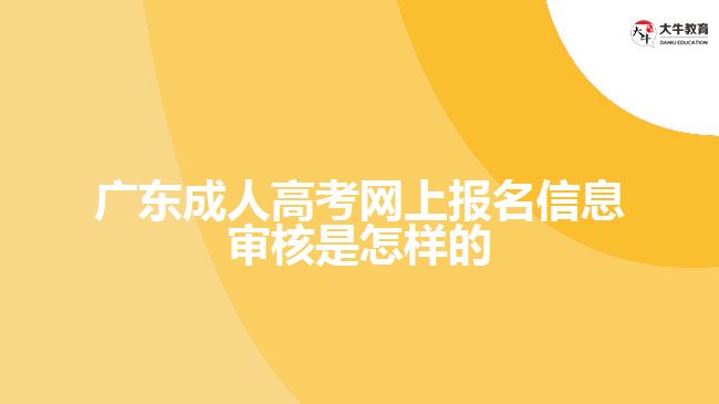 广东成人高考网上报名信息审核是怎样的