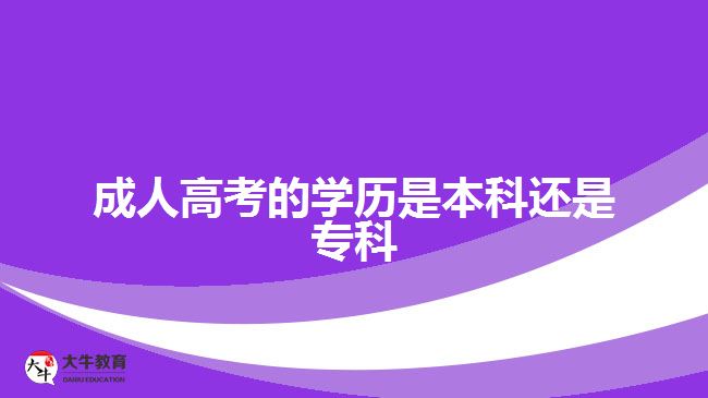 成人高考的学历是本科还是专科