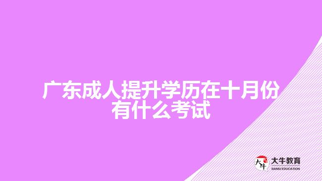 广东成人提升学历在十月份有什么考试