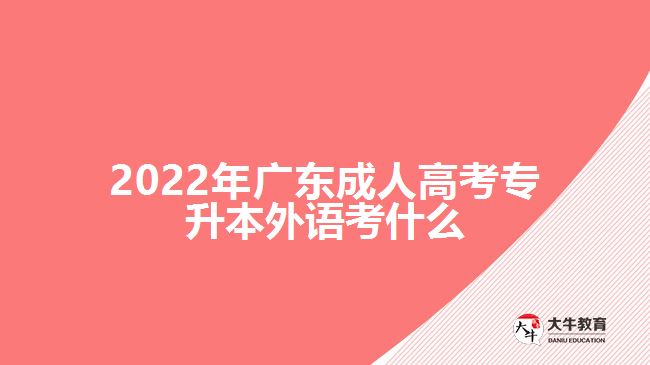 2022年广东成人高考专升本外语考什么