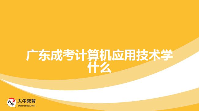 广东成考计算机应用技术学什么