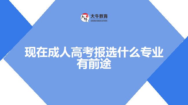 现在成人高考报选什么专业有前途