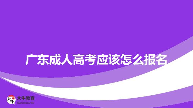 广东成人高考应该怎么报名