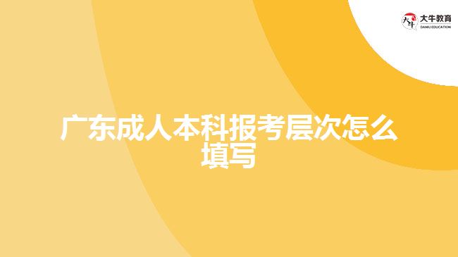 广东成人本科报考层次怎么填写