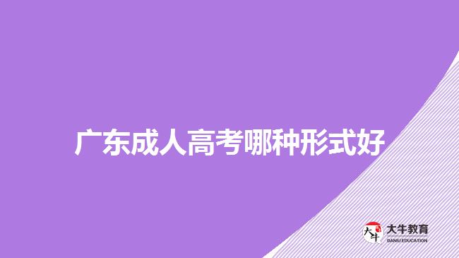 广东成人高考哪种形式好