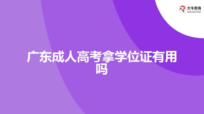 广东成人高考拿学位证有用吗