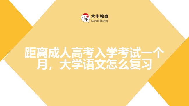 距离成人高考入学考试一个月，大学语文怎么复习