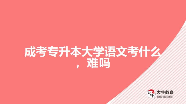 成考专升本大学语文考什么，难吗