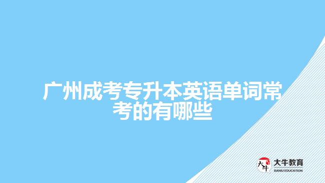 广州成考专升本英语单词常考的有哪些