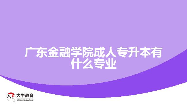 广东金融学院成人专升本有什么专业