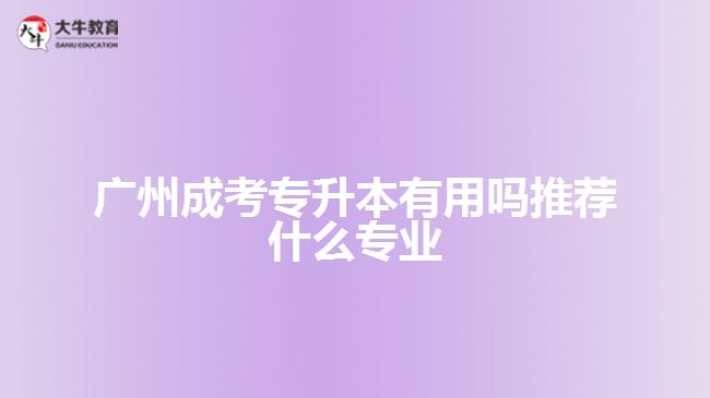 广州成考专升本有用吗推荐什么专业