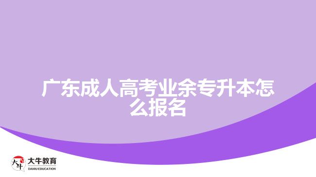 广东成人高考业余专升本怎么报名