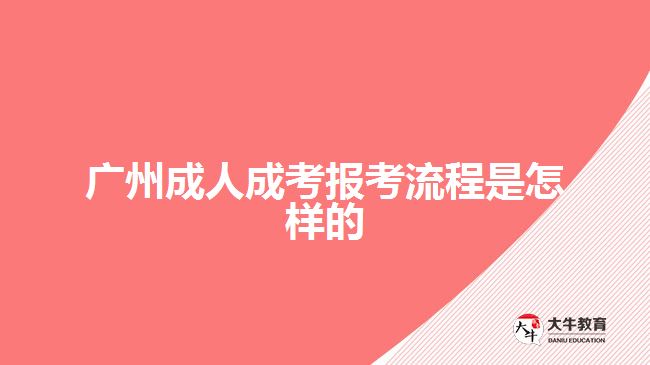 广州成人成考报考流程是怎样的