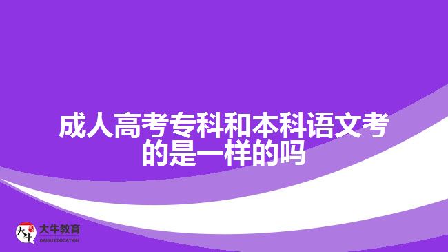 成人高考专科和本科语文考的是一样的吗