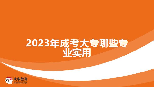 2023年成考大专哪些专业实用