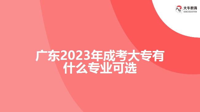 广东2023年成考大专有什么专业可选