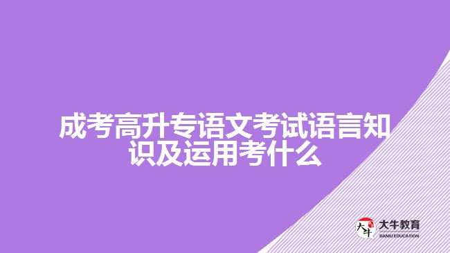 成考高升专语文考试语言知识及运用考什么