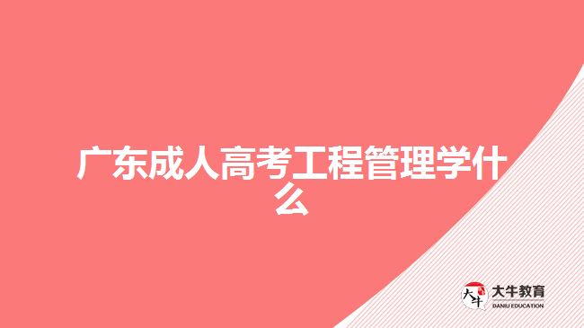 广东成人高考工程管理学什么