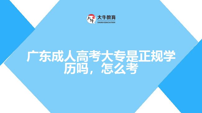 广东成人高考大专是正规学历吗，怎么考