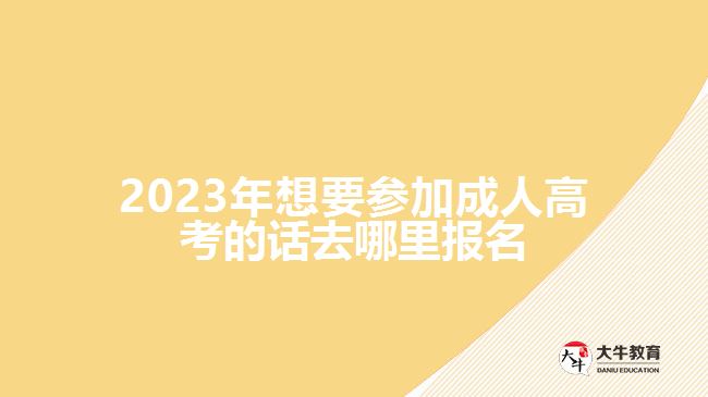 2023年想要参加成人高考的话去哪里报名