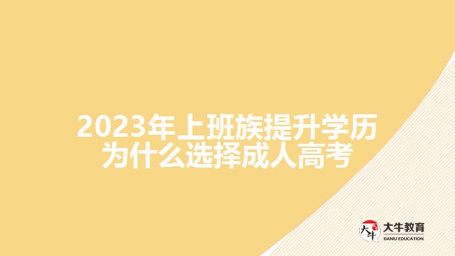 2023年上班族提升学历为什么选择成人高考