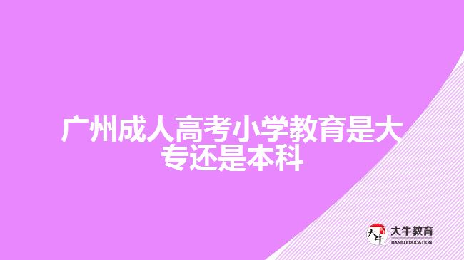 广州成人高考小学教育是大专还是本科