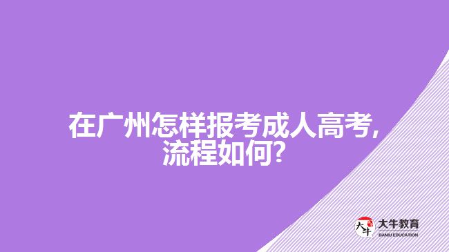 在广州怎样报考成人高考,流程如何?