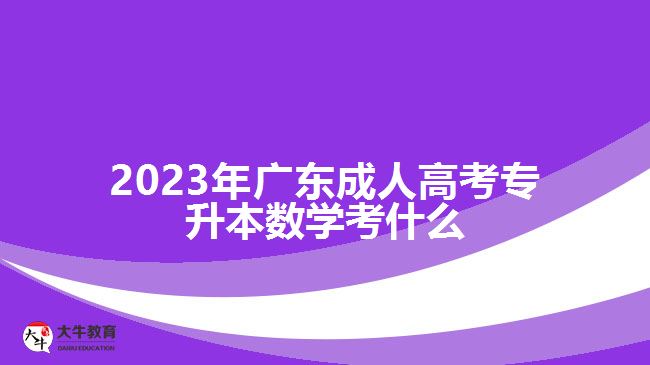 2023年广东成人高考专升本数学考什么