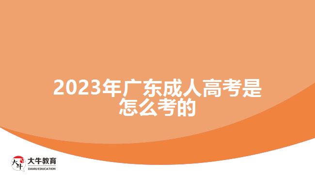 2023年广东成人高考是怎么考的