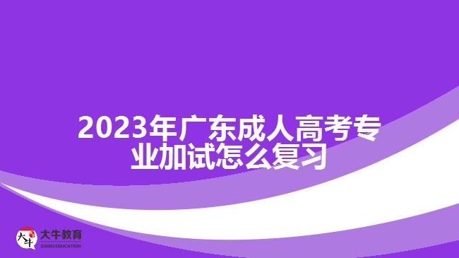 2023年广东成人高考专业加试怎么复习