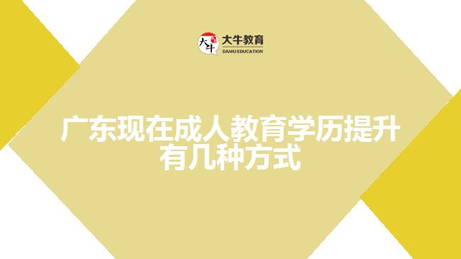 广东现在成人教育学历提升有几种方式