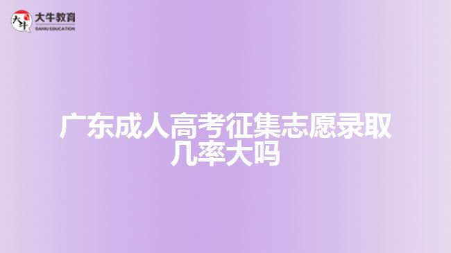 广东成人高考征集志愿录取几率大吗