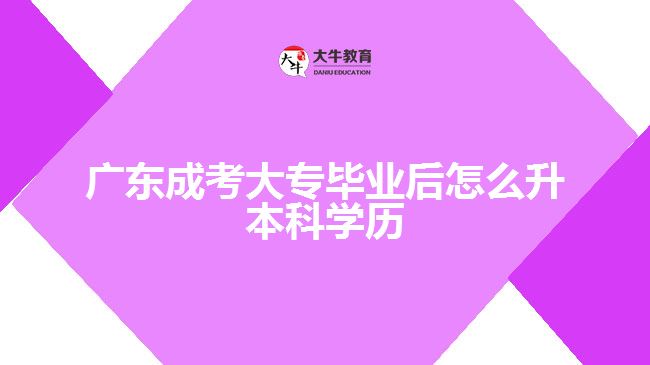 广东成考大专毕业后怎么升本科学历