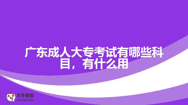 广东成人大专考试有哪些科目，有什么用