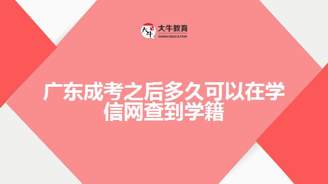 广东成考之后多久可以在学信网查到学籍