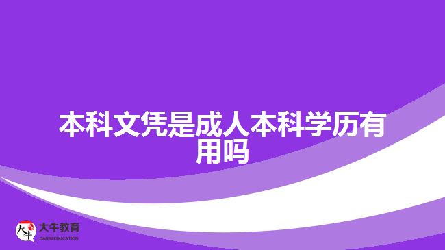 本科文凭是成人本科学历有用吗