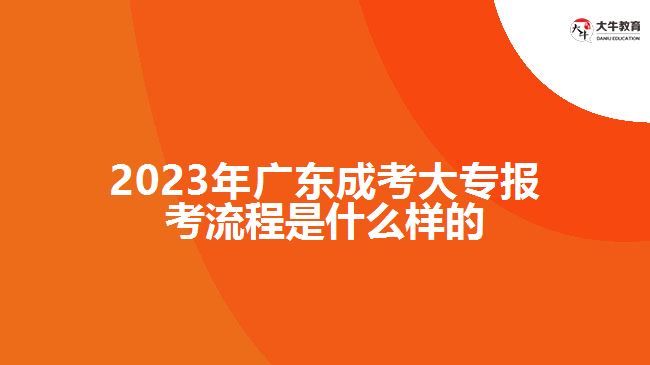 2023年广东成考大专报考流程是什么样的