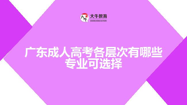 广东成人高考各层次有哪些专业可选择