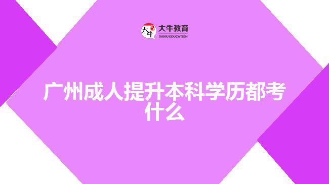 广州成人提升本科学历都考什么