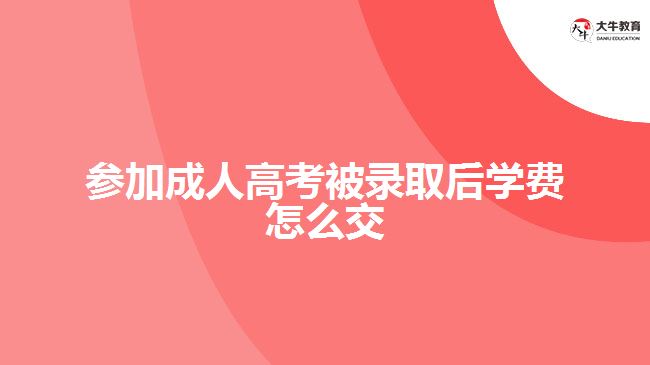 参加成人高考被录取后学费怎么交