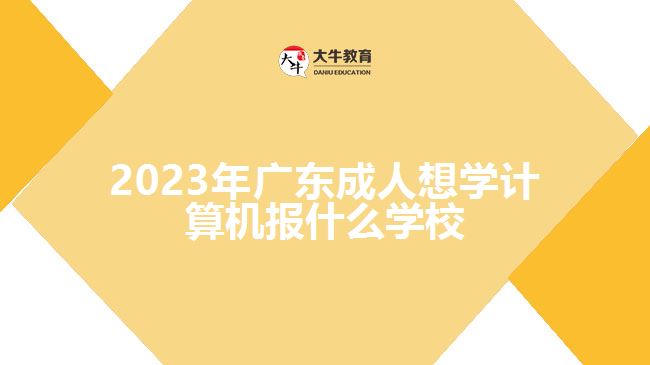 2023年广东成人想学计算机报什么学校