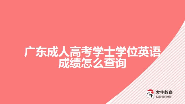 广东成人高考学士学位英语成绩怎么查询