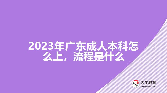 2023年广东成人本科怎么上，流程是什么