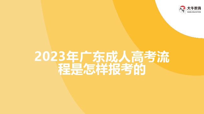 2023年广东成人高考流程是怎样报考的