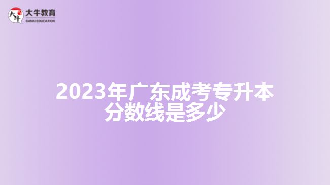 2023年广东成考专升本分数线是多少