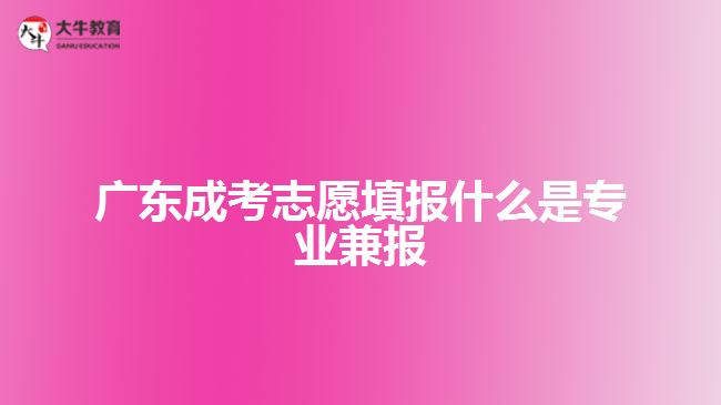 广东成考志愿填报什么是专业兼报